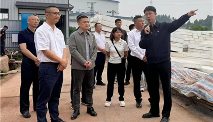 興業(yè)集團(tuán)黨委開展“黨建引領(lǐng)聚合力 攻堅(jiān)克難顯擔(dān)當(dāng)”主題黨日暨現(xiàn)場教學(xué)活動(dòng)